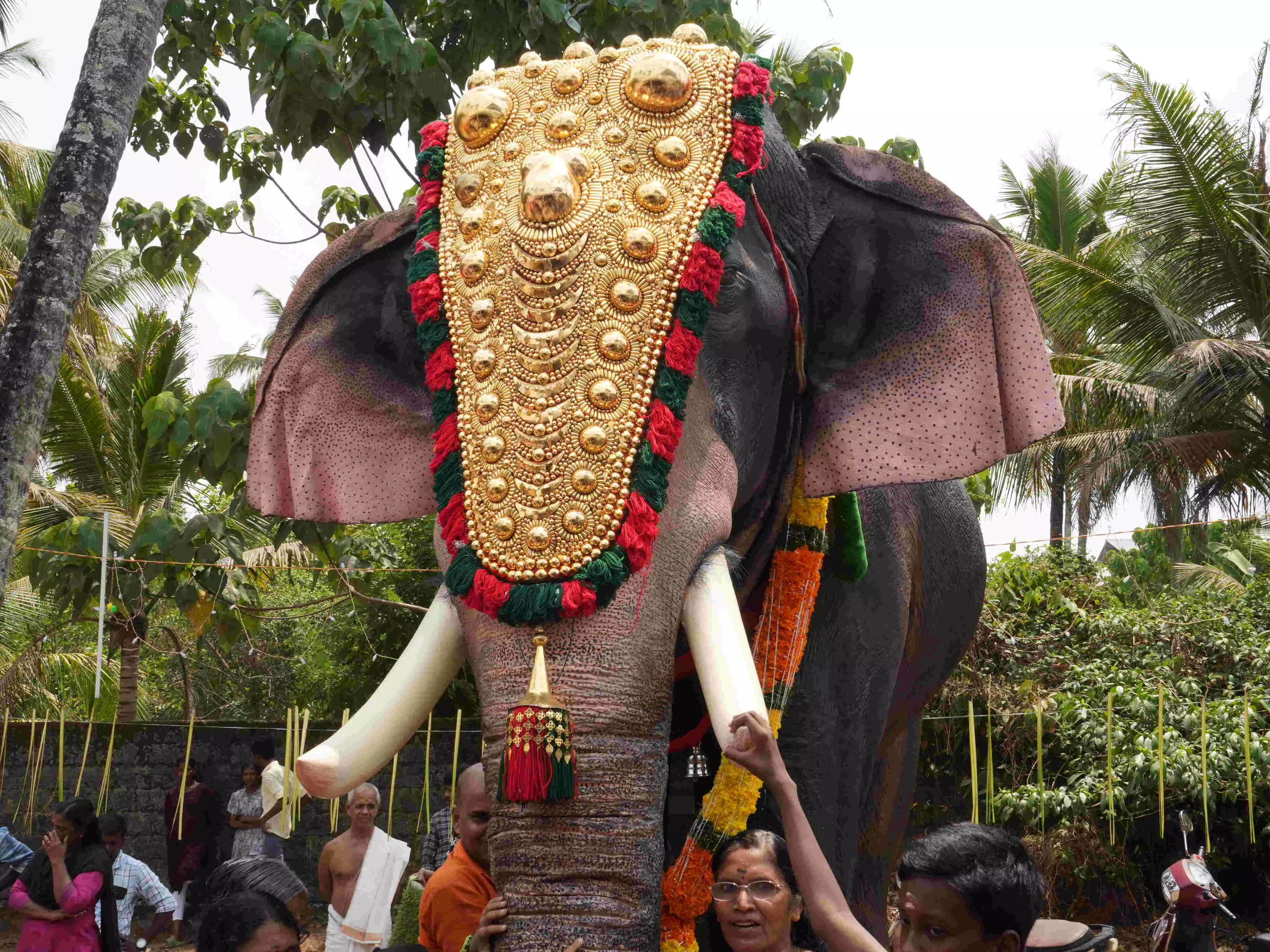 Temple in Kochi celebrates with a mechanical elephant, gifted by actor Priyamani and PETA India
