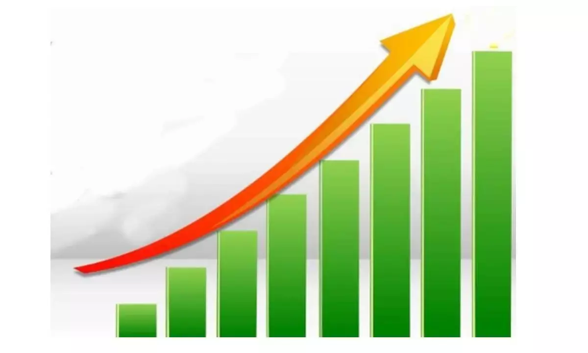 Petrol, diesel, jet fuel sales surge in Nov as economy picks up