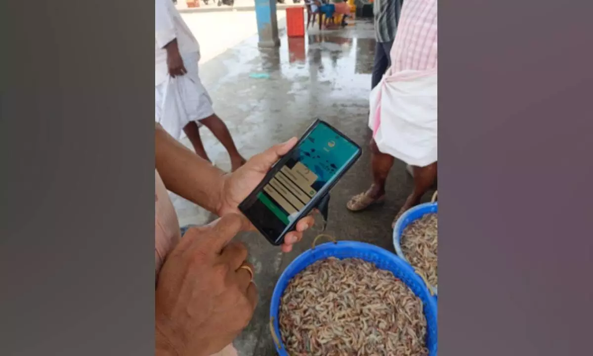 CMFRI launches mobile App to encourage citizen science initiative in marine fisheries research