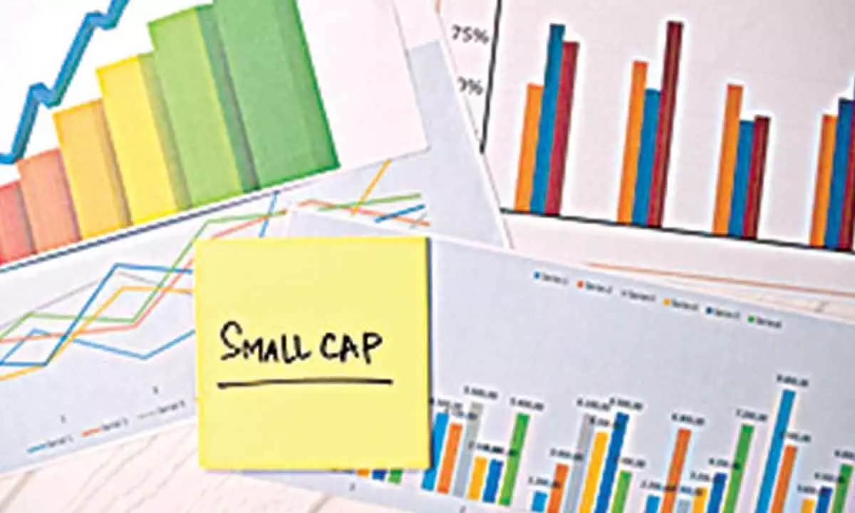 SMID funds account for 87% of total flows in FY24