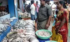 Fish consumption in India rises 81% during 2005-2021 period