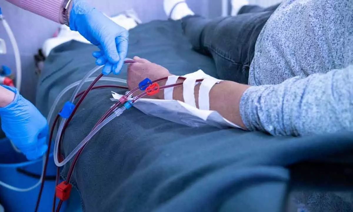 Need to accord priority to data collection on dialysis outcomes