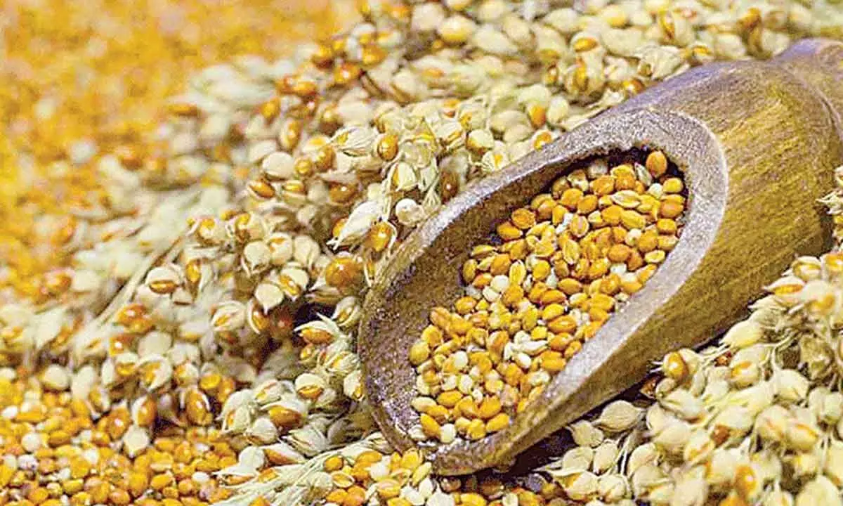 Uttarakhand millet farmers see 10-20% rise in income