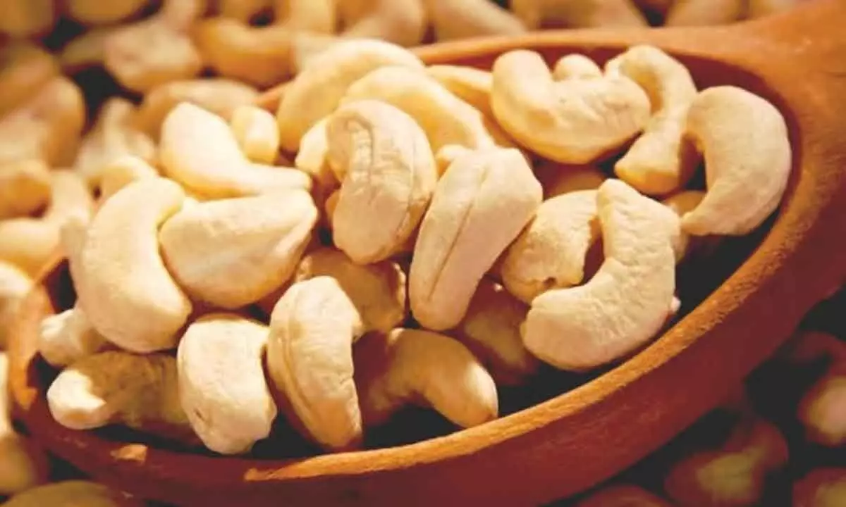 Goa cashew farmers find Urrak brewing uneconomical