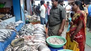 Fish consumption in India rises 81% during 2005-2021 period