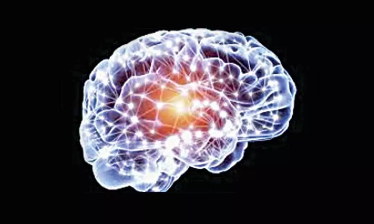 Study finds how human brain plans before speaking