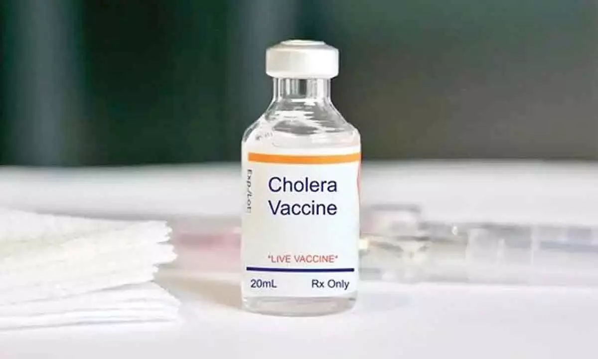 IVI initiates tech transfer for oral cholera vax to Biological E