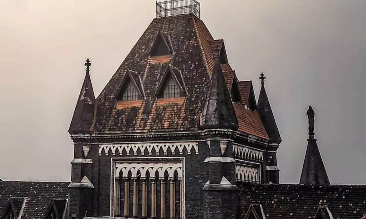 Wilful defaulters being ostracised: Bombay HC