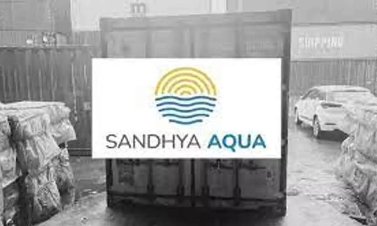 Sandhya Aqua denies charge