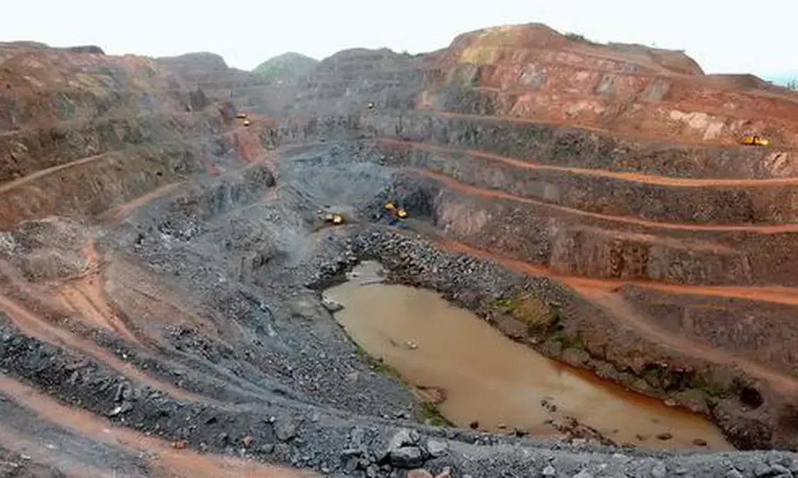 Miners urge govt not to impose export duty on low-grade iron ore