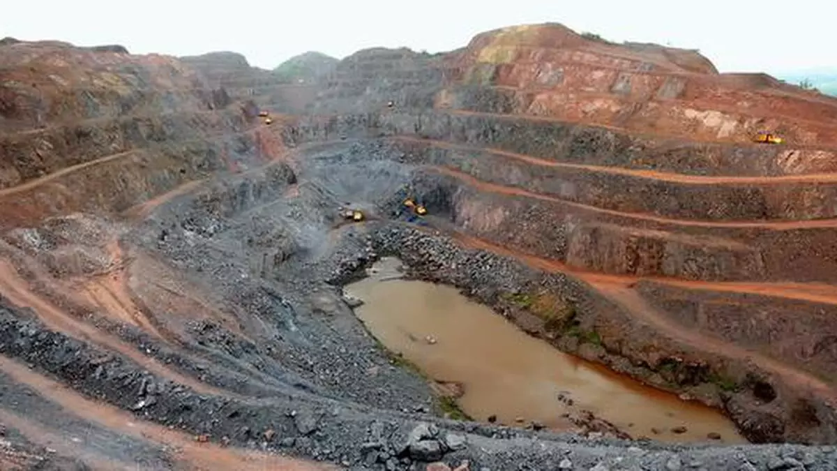 Miners urge govt not to impose export duty on low-grade iron ore Miners urge govt not to impose export duty on low-grade iron ore