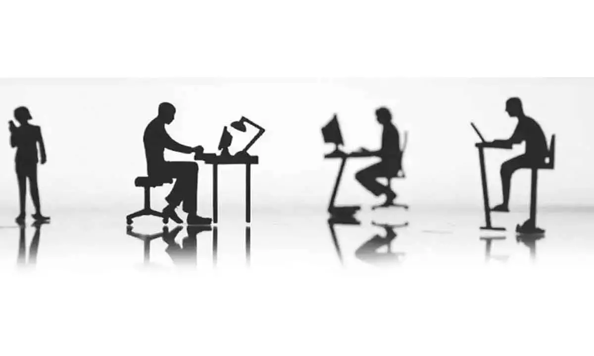 Modest growth rate in store for IT firms