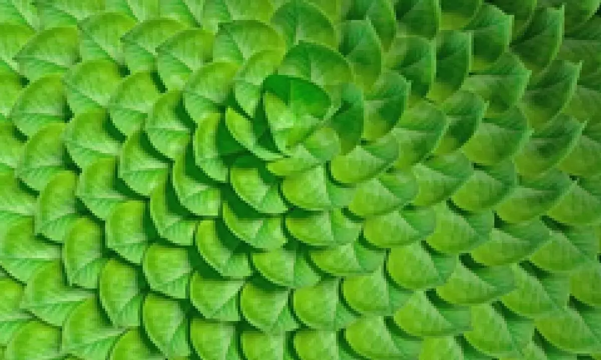 63 pc of Indian enterprises believe Gen AI is important for sustainability efforts: Study