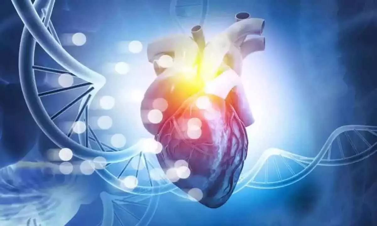 Precision cardiology can help tackle CVD burden