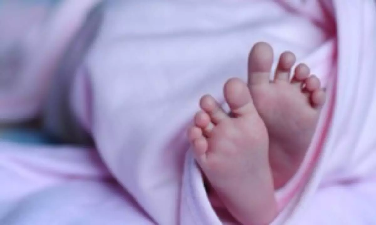 Childbirths in South Korea hit another low in January: Report