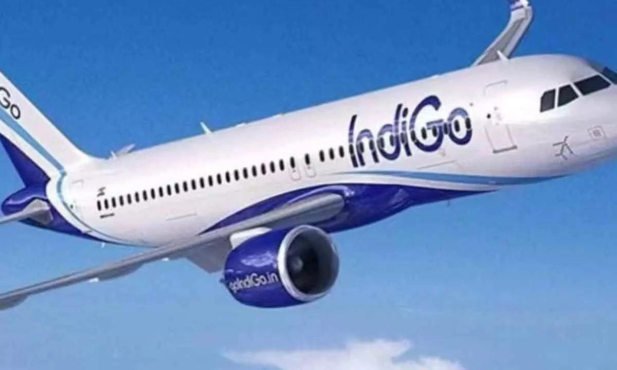IndiGo to fly more international routes, to double in size by 2030