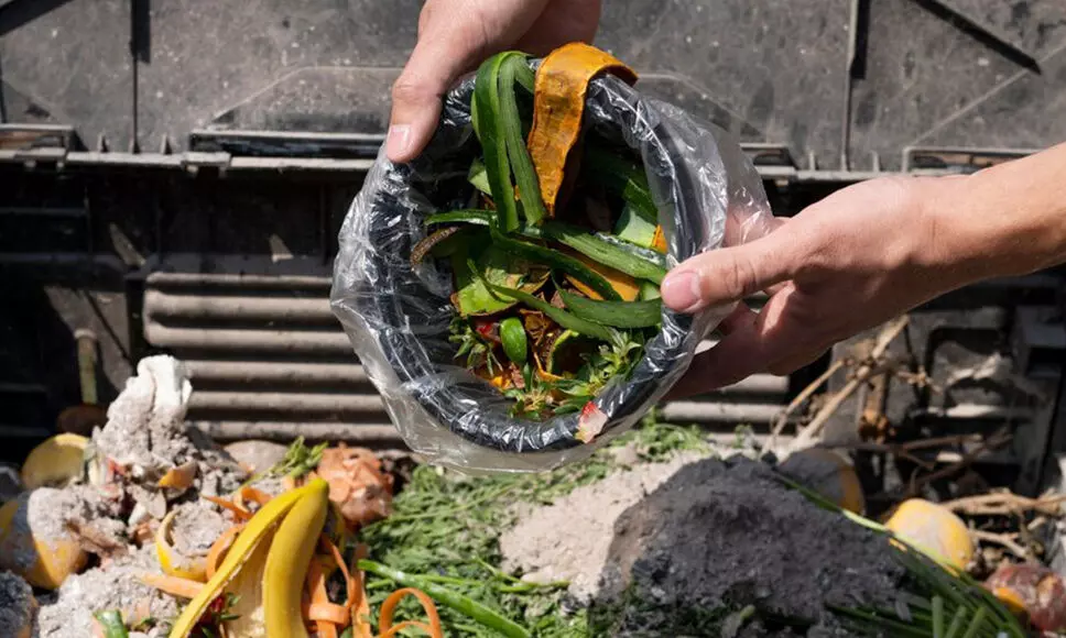 UNEP Food Waste Index Report 2024 - Nearly 20% of Food Never Consumed which is One-Fifth of all Available Food