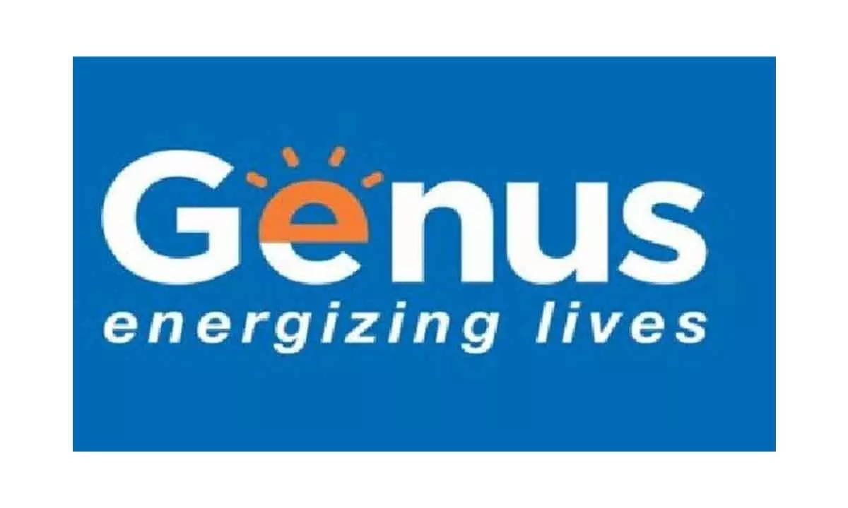 Genus Power Infra to raise borrowing limit