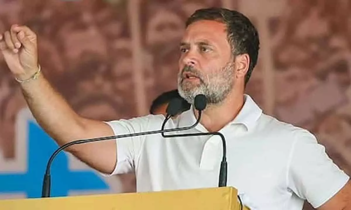 BJP resorting to match-fixing tactics ahead of LS polls: Rahul