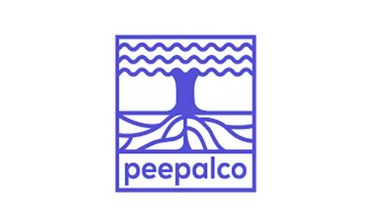PeepalCo unveils trading app