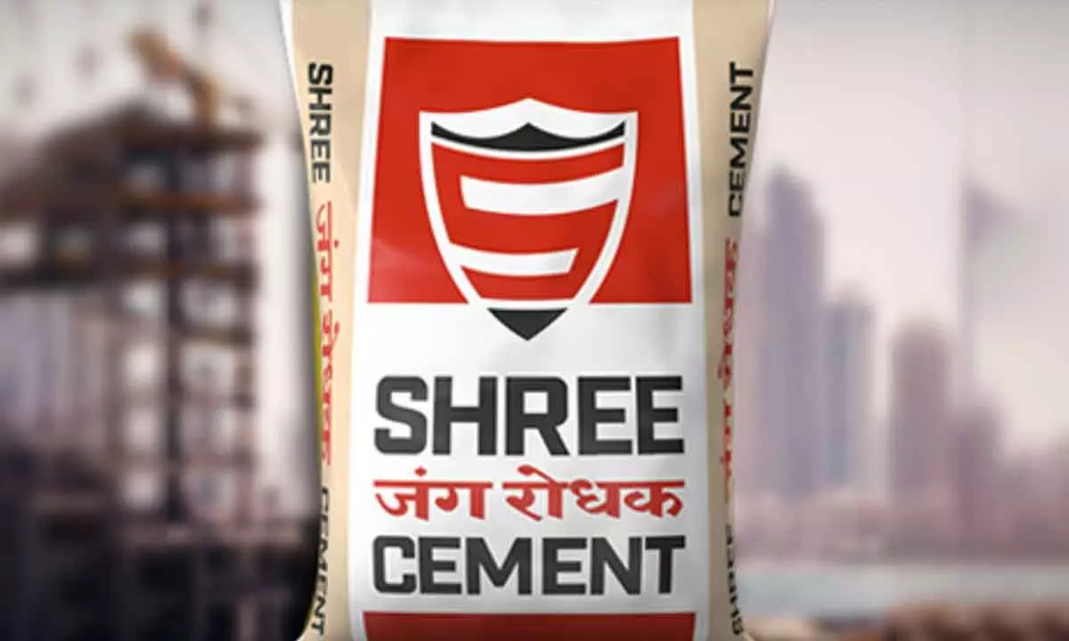 Shree Cement establishes Rs 2,500-cr plant in Guntur