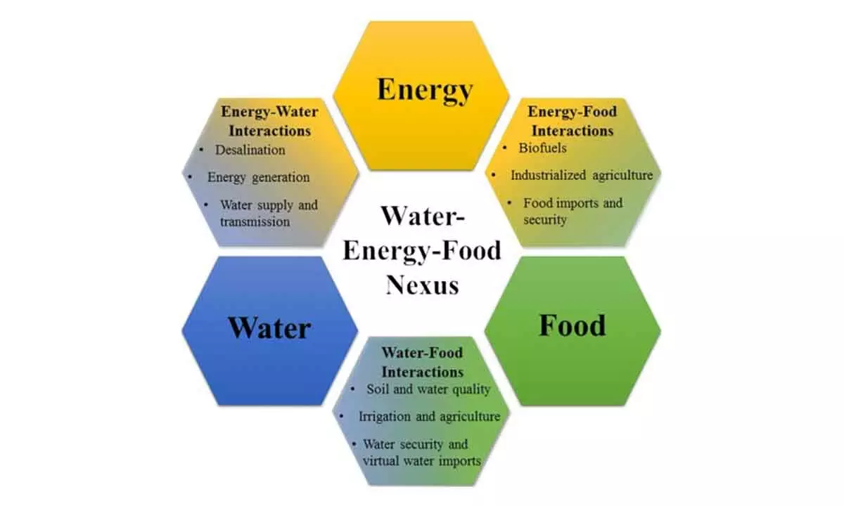 Water crisis: Experts call for tackling the water-energy-food-ecosystem nexus