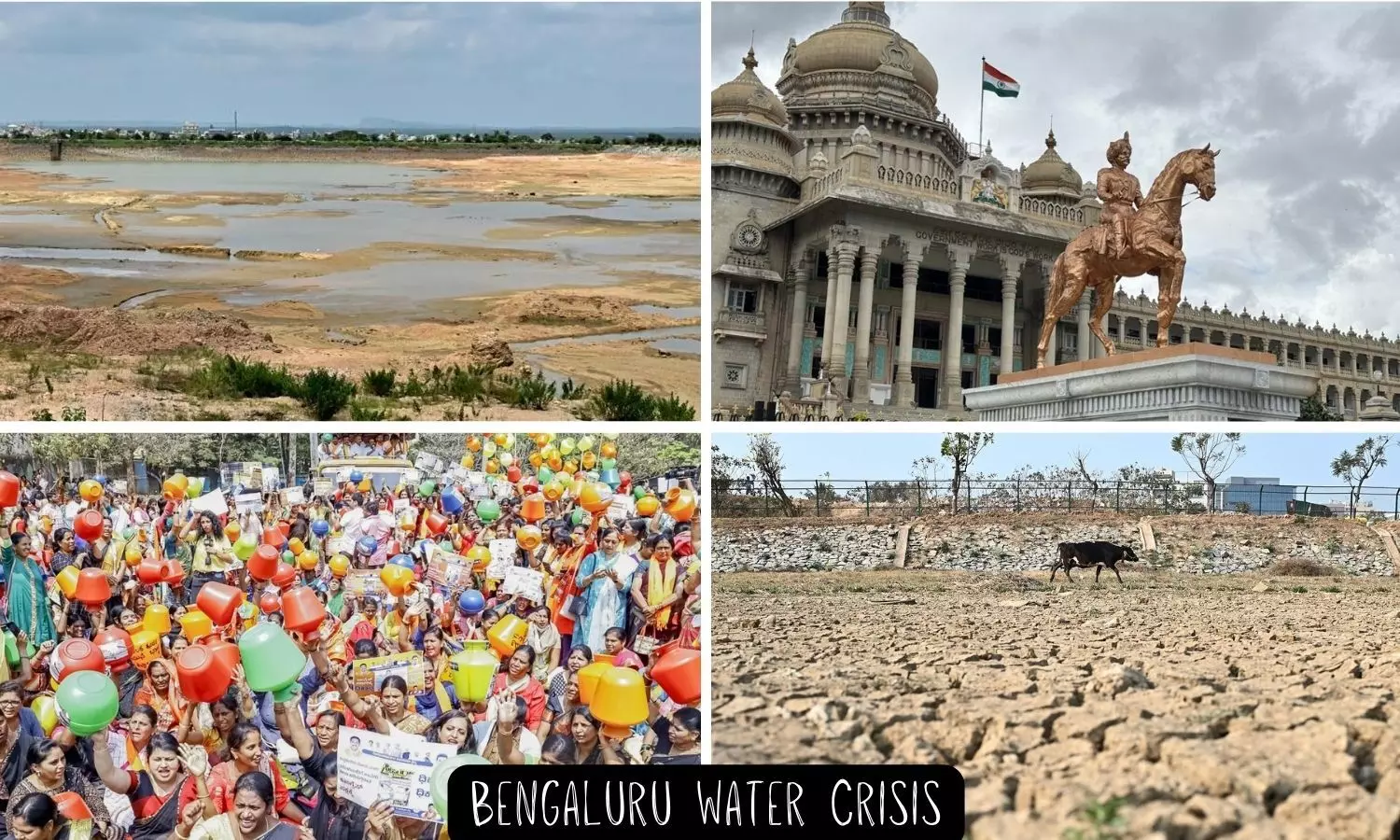 Continued mismanagement of water in Bengaluru could surpass Cape Towns crisis, warns TV Ramachandra