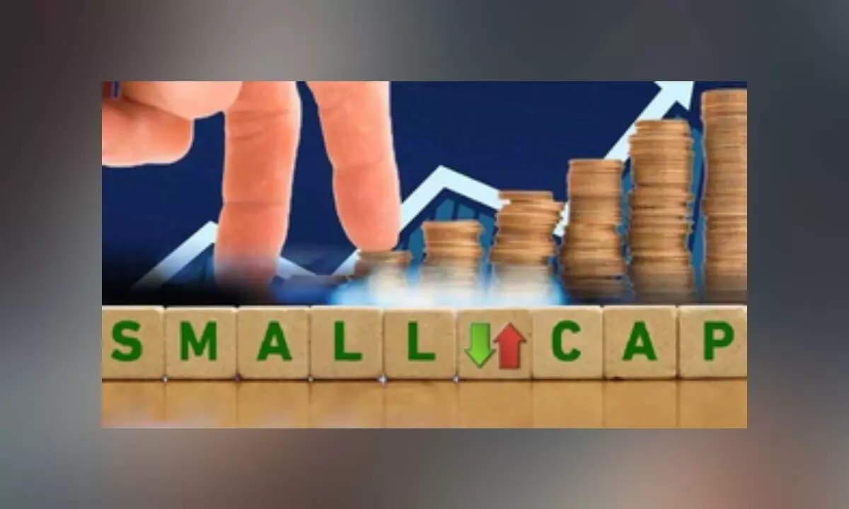FII allocation to small- and mid-cap stocks highest since 2005