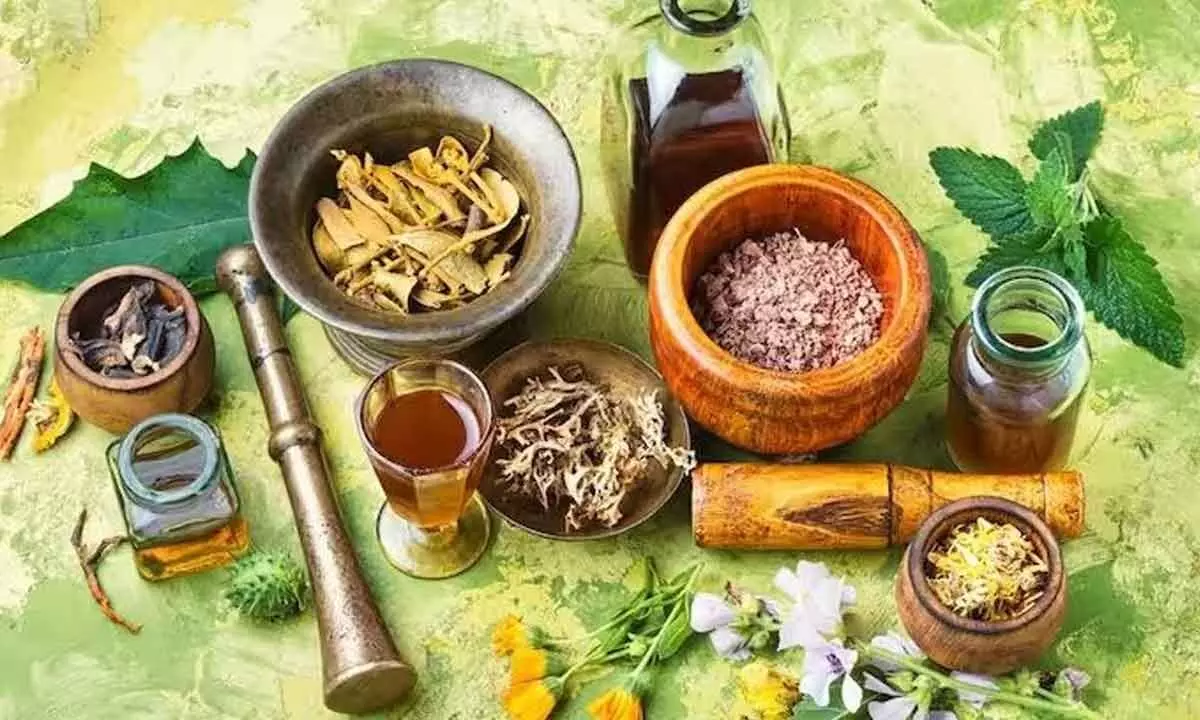 Ayush ministry must safeguard Chandsi practitioners, revitalise ancient medical heritage