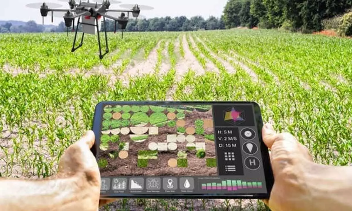 How modern tech is making farmers richer, crops greener