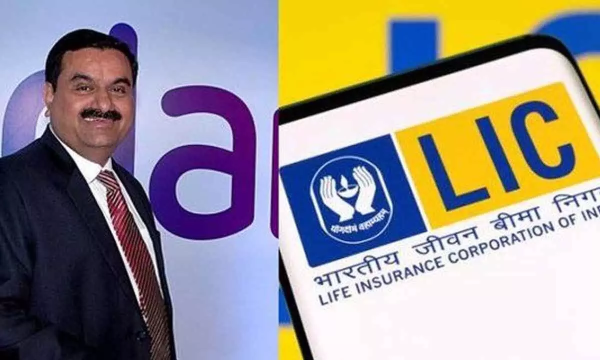 LIC investment value in Adani stocks surges 59% in FY24