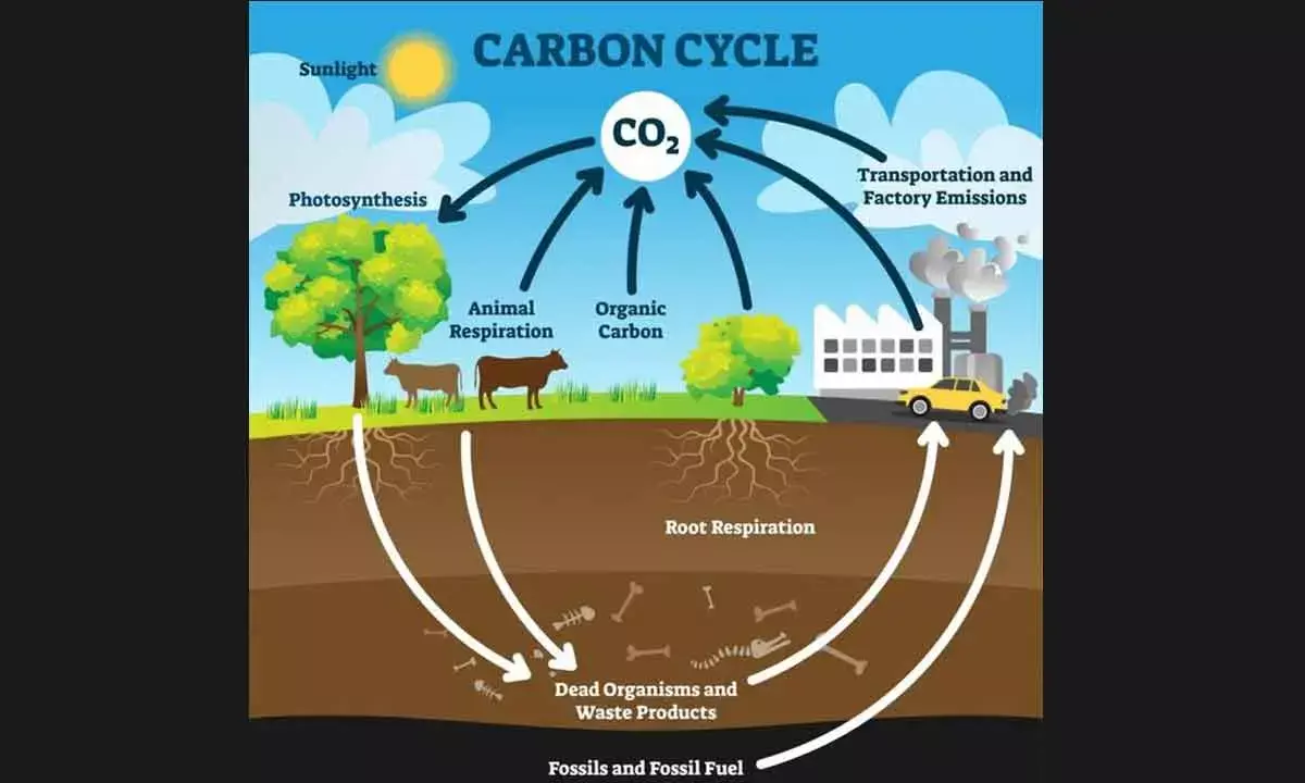 Unless contained, inorganic carbon in soil can cause climate change and industrial pollution