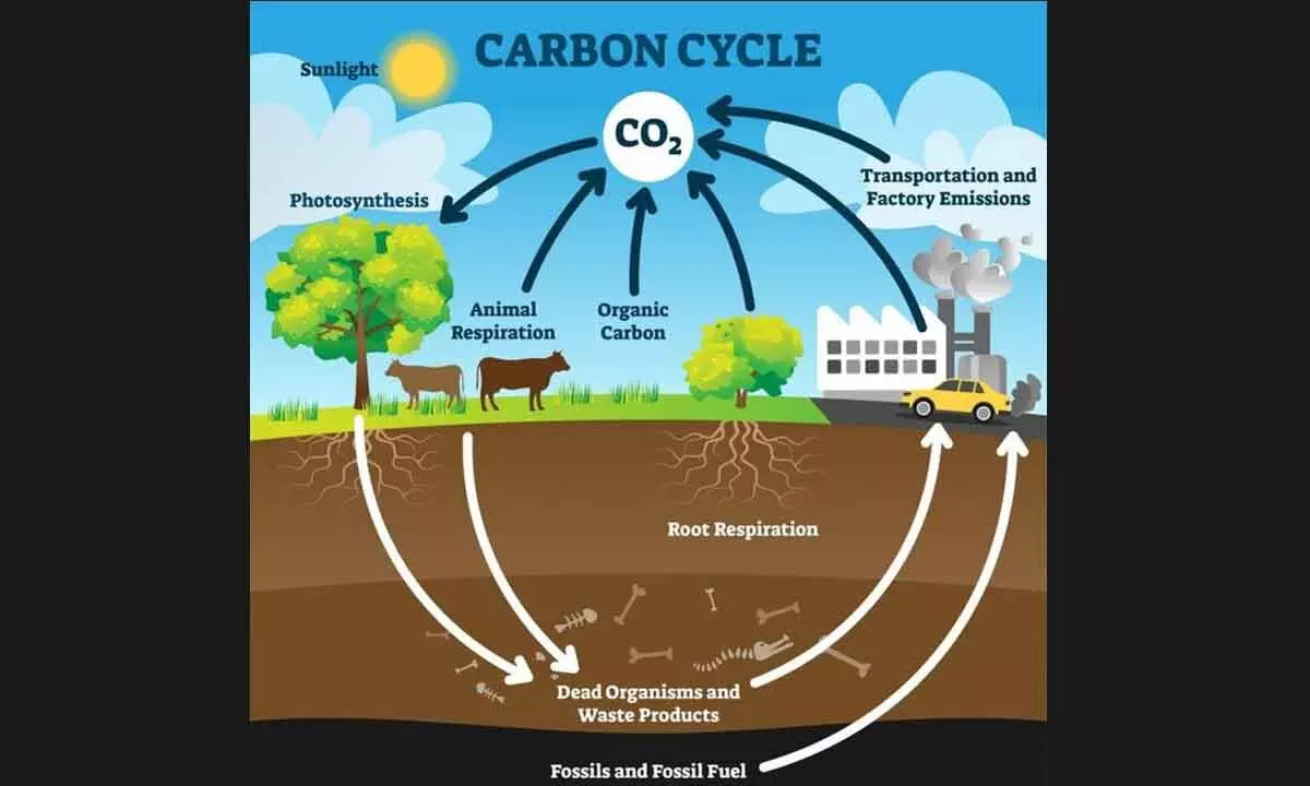 Unless contained, inorganic carbon in soil can cause climate change and industrial pollution