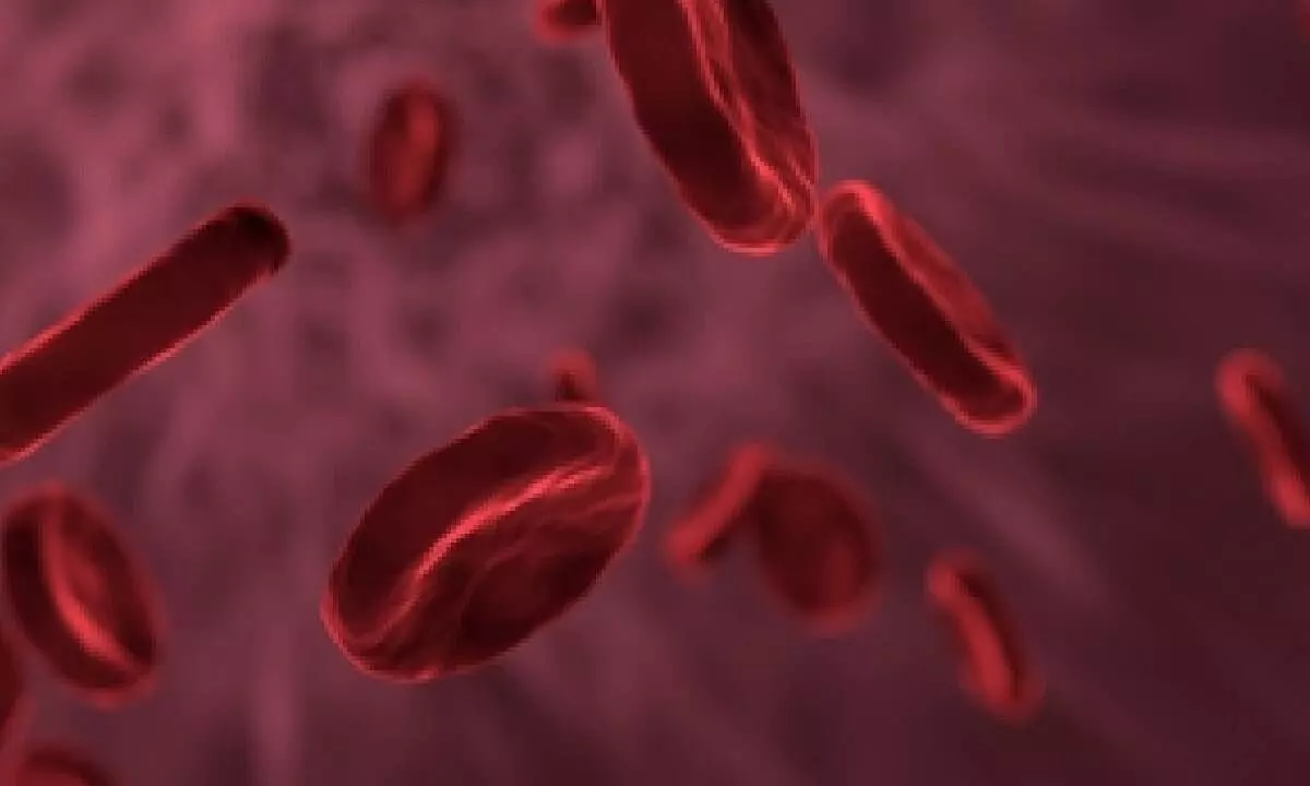 Gene therapy holds promise for blood disorder haemophilia: Doctors