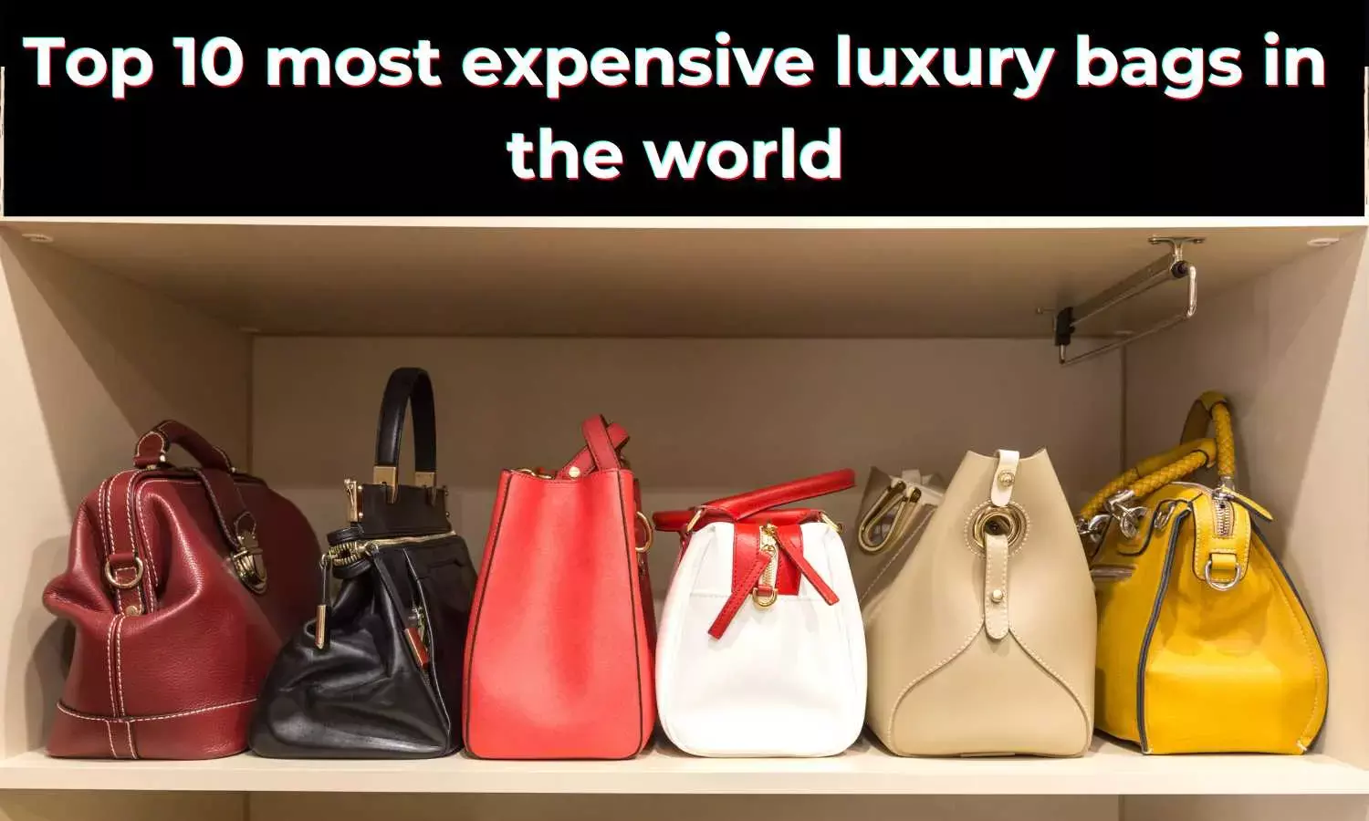 The Worlds Top 10 Most Expensive Luxury Bags!