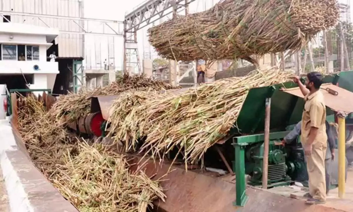 Centre cracks whip on sugar mills on stocks