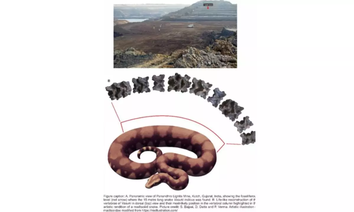 Team from IIT Roorkee discover giant ancient snake fossil