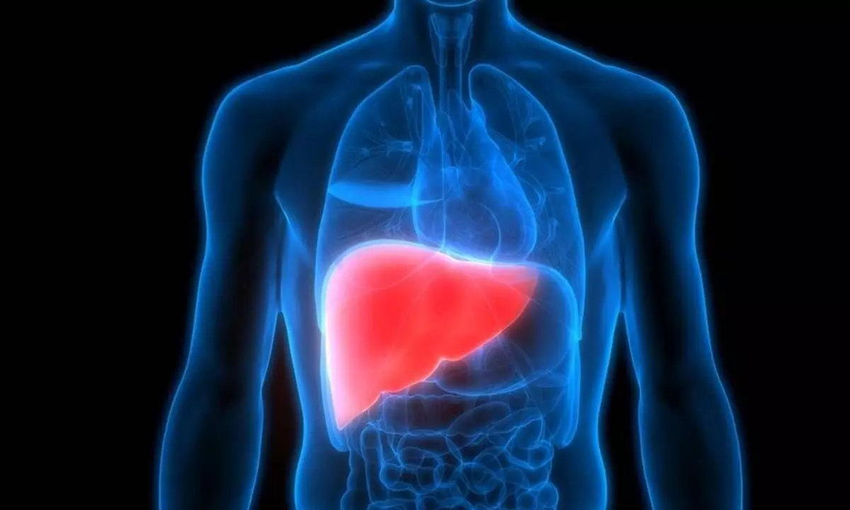It is important to keep liver healthy for the better functioning of body
