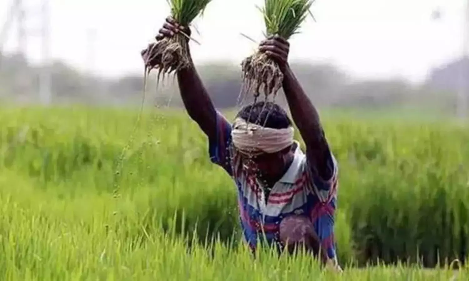 Good Monsoon Outlook Boosts Agricultural Prospects