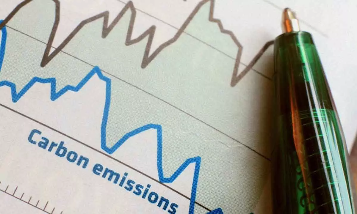 51% of top 100 cos disclosing emissions despite no mandate
