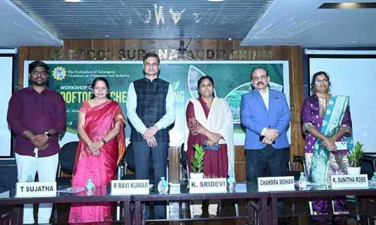 FTCCI’s workshop on rooftop gardening