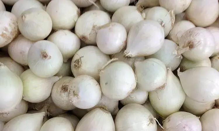 White onions to be exported again via three Gujarat ports