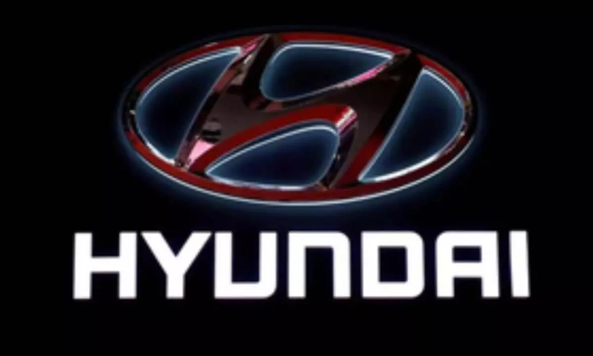 Hyundai Motors Q1 net profit down as sales drop over plant suspension