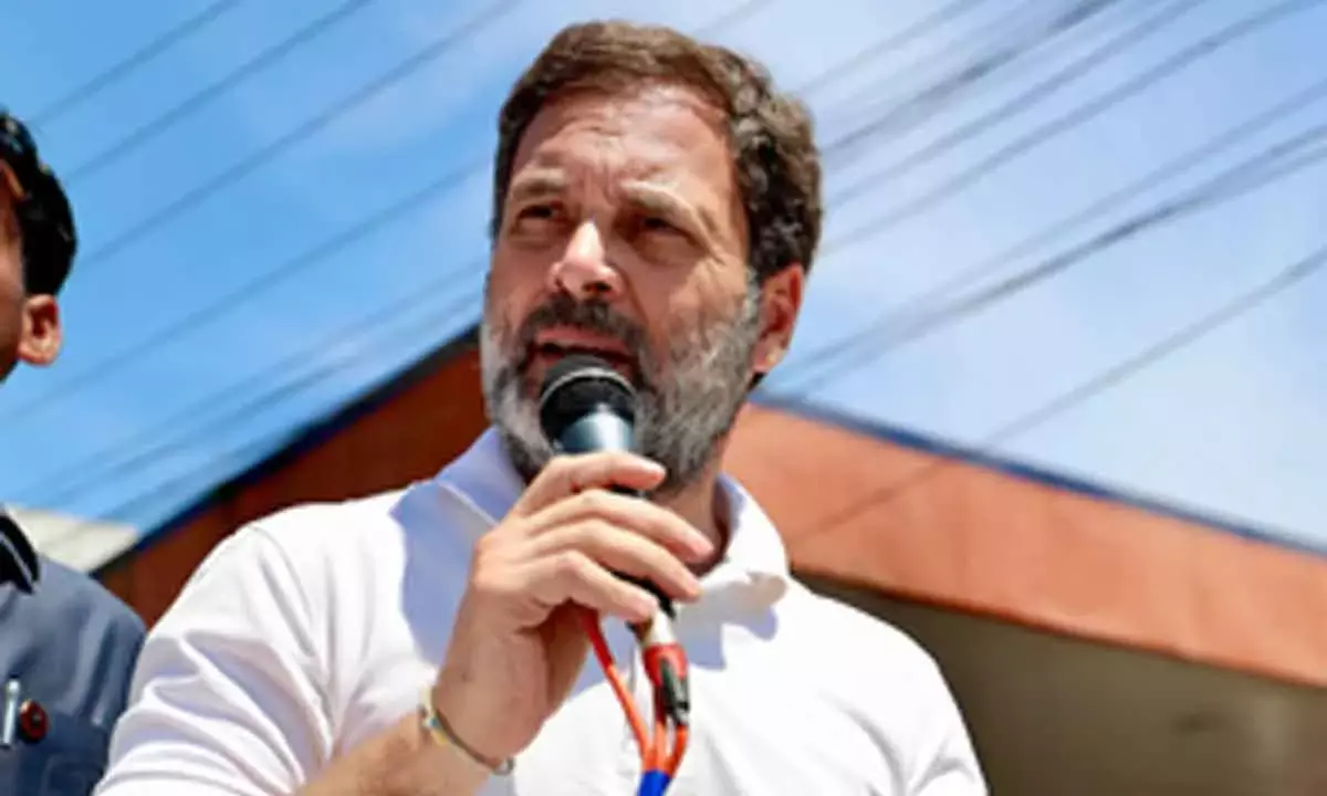 Cong will conduct caste and economic survey: Rahul