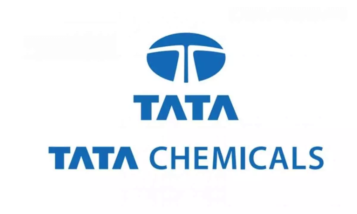 Tata Chemicals shares decline 4.50%