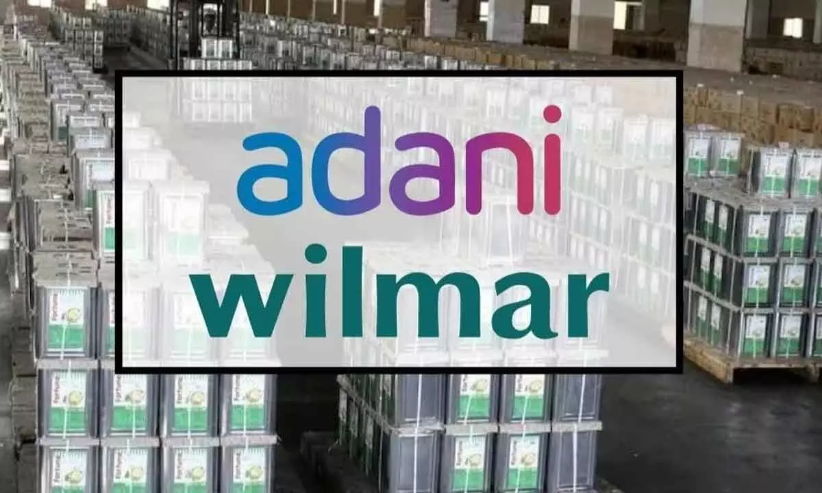 Adani Wilmar posts 67% increase in profit