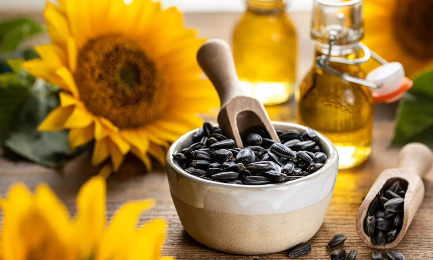 Top 8 Benefits of Sunflower Seeds for your Health