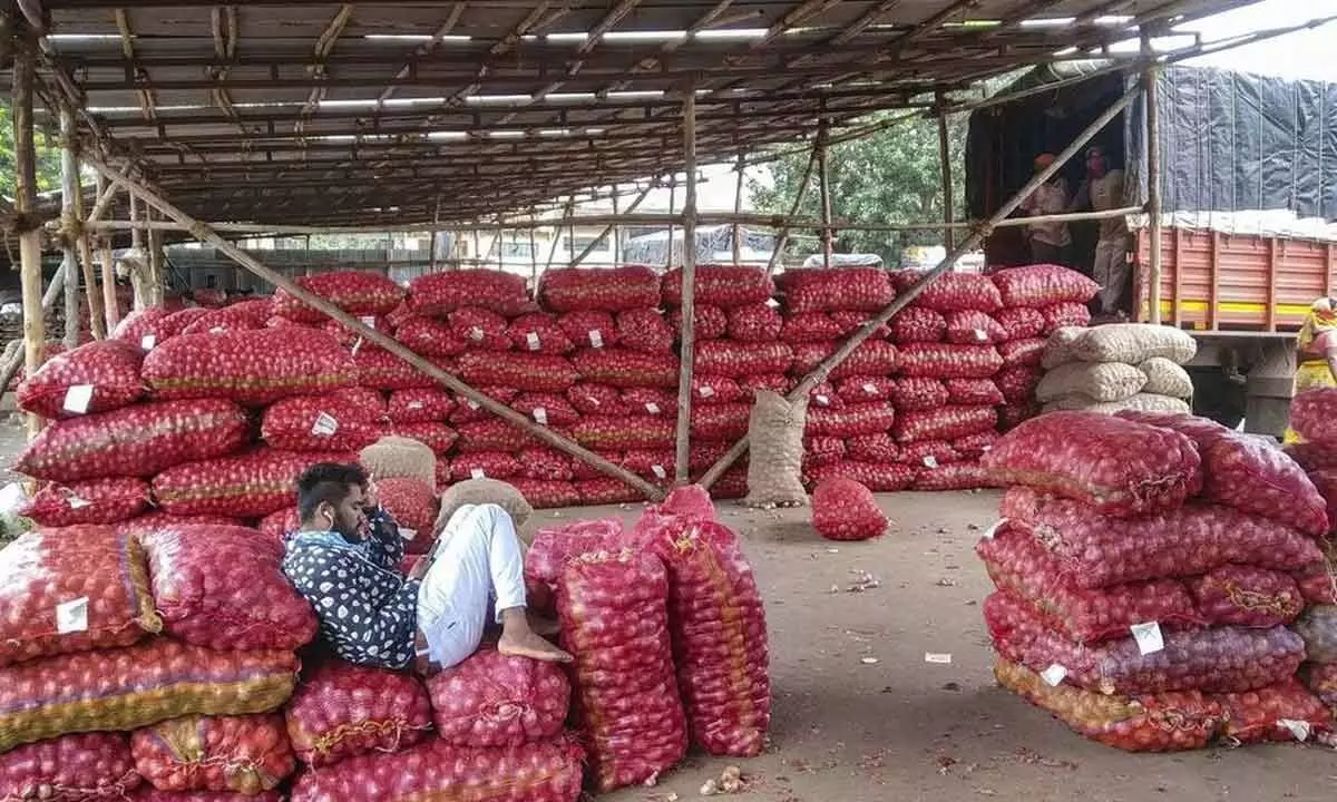EC nod taken before lifting ban on onion exports: Govt
