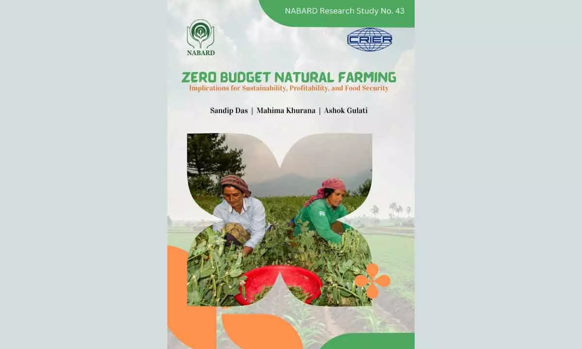 Nabard study flags zero budget natural farming