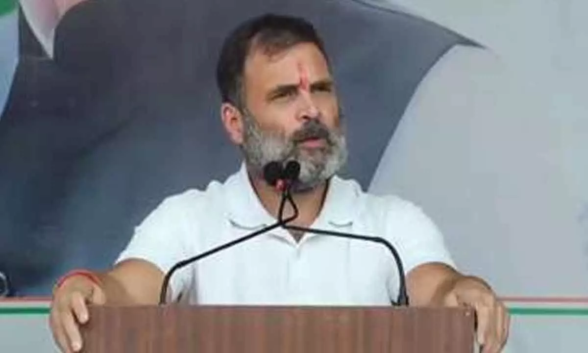 Modi wants to hand over ‘Jungle, Jameen’ to industrialists: Rahul